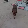 Tim Dobson - @tim.dobson21 - TikTok