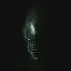 Timothy Doggett - @timothydoggett - TikTok