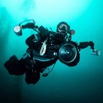 Tim Doherty - @tim_underwater - Instagram
