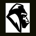 Tim Doherty - @gorillarocktaco - Instagram