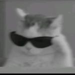Tim Dong - @tim.dong.3914 - Instagram