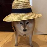 @timdong_ - Instagram