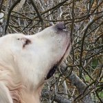 @tim_donley - Instagram