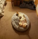 Tim Doty - Facebook