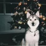 Tim Dove - @timdove2006 - Instagram