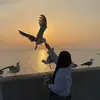 Timadove - @timadove - TikTok