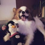 Tim Downs - @downs13420 - Instagram
