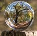 Tim Dunning - Facebook