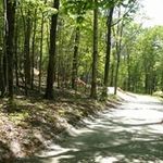 tim durham - @durham1843 - Instagram