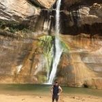 Tim Dwight - @dwight.tim - Instagram