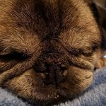 Tim Dyke - @tim.dyke.376 - Instagram