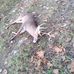Tim Eades - Facebook