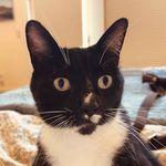 Tim Eastman - @timeastman83 - Instagram