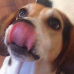 Tim Eaton - @tim_etn - Instagram