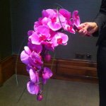Tim Edge - @theflowerededgeflorist - Instagram