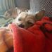 Tim Edler - Facebook