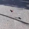 Tim Eisenhauer - @tim.ei8 - TikTok