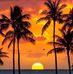 Tim Ellinger - Facebook