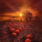 Tim Ellinger - @timellinger68 - Instagram