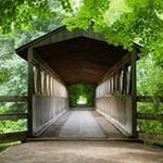 Tim Ellison - @time2praise - Instagram
