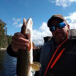 Tim Ellison - @tim.ellison.52643 - Instagram