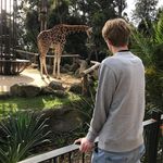 Tim English - @timenglish_ - Instagram