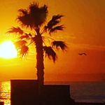 Tim Engle - @taengle7 - Instagram