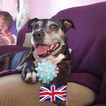 Tim Epps - @eppstim505 - Instagram