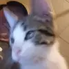 Timothy Erickson - @timothy.erickson7 - TikTok