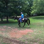 Tim Ervin - @timcervin - Instagram