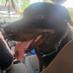 Tim Erwin - @sixrulers2 - Instagram