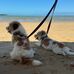 Tim Erwin - Facebook