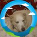 Tim Erwin - Facebook