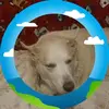 Tim Erwin - @tim.erwin7 - TikTok