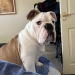 Tim Evans - @evans4066 - Instagram