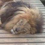 Tim Evans - @i.am.tim.evans - Instagram