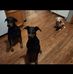Tim Everson - Facebook