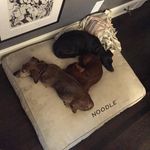 tim everson - @tim9everson - Instagram
