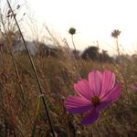 Tim Exley - @mindfulkamra - Instagram