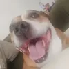 Tim Fahey - @tim.fahey - TikTok