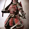 timefahey - @samurai.warrior - TikTok