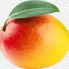 Omega mango - @timfalk3 - TikTok