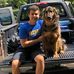 Tim Falk - Facebook