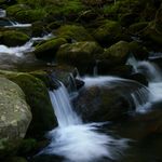 Tim Farris - @swordnsonbeam - Instagram