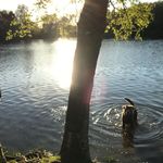 Tim Feld - @feld_tim - Instagram