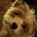Tim Feldmann - Facebook