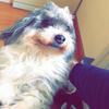 Tim - @tim.feldmann15 - TikTok