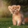 Tim Fernandez - @tim.fernandez.c - TikTok