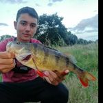 Tim Fish - @tim_fish_youtube - Instagram