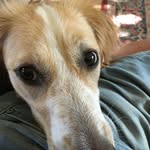 Tim Fisk - @fisk3435 - Instagram